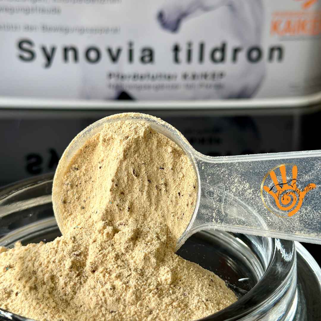 Synovia tildron Pulver für Pferde als Ergänzungsfutter gerade im Sportbereich