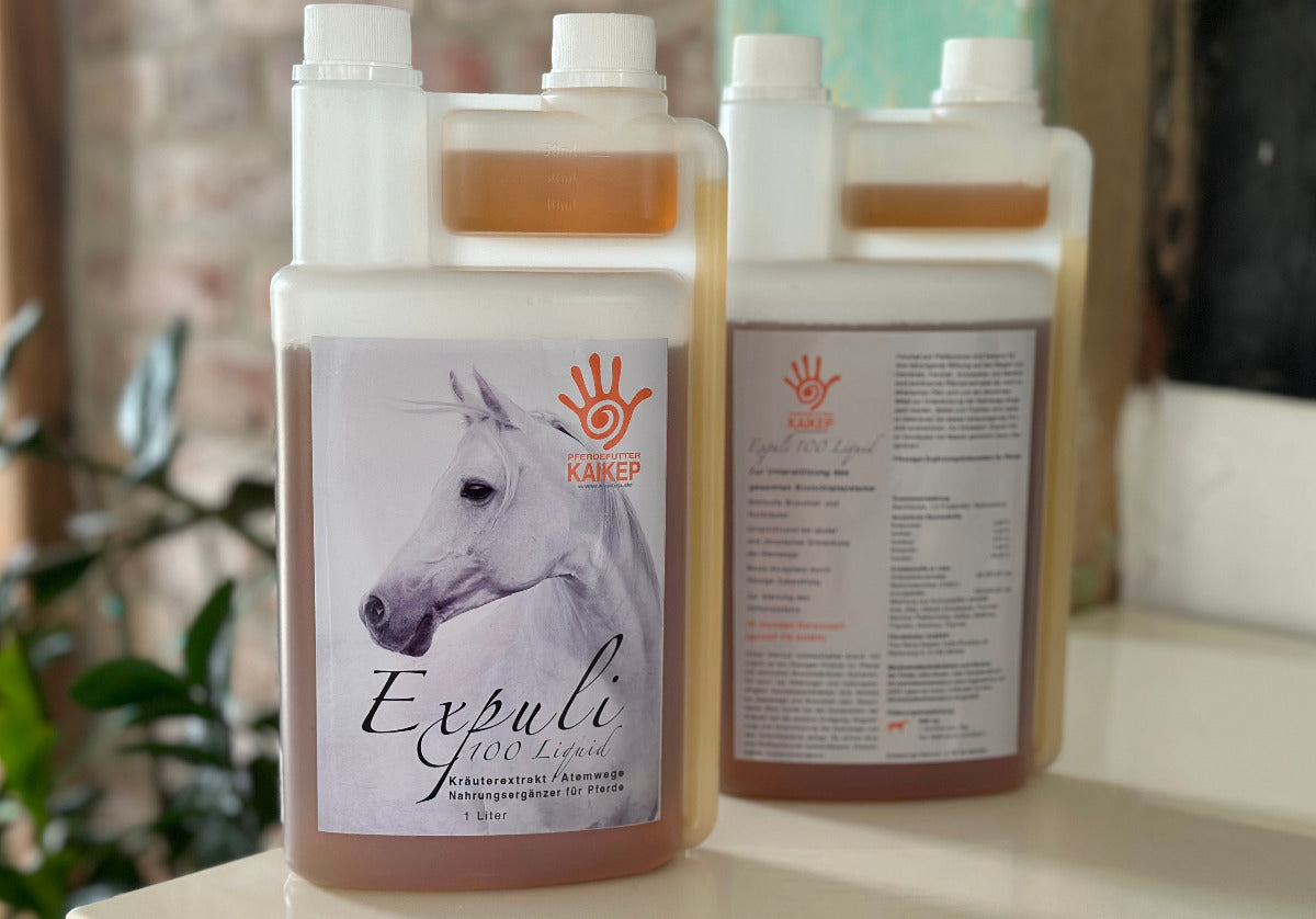 Bronchialkräuter Pferde KAIKEP EXPULI 100 Liquid