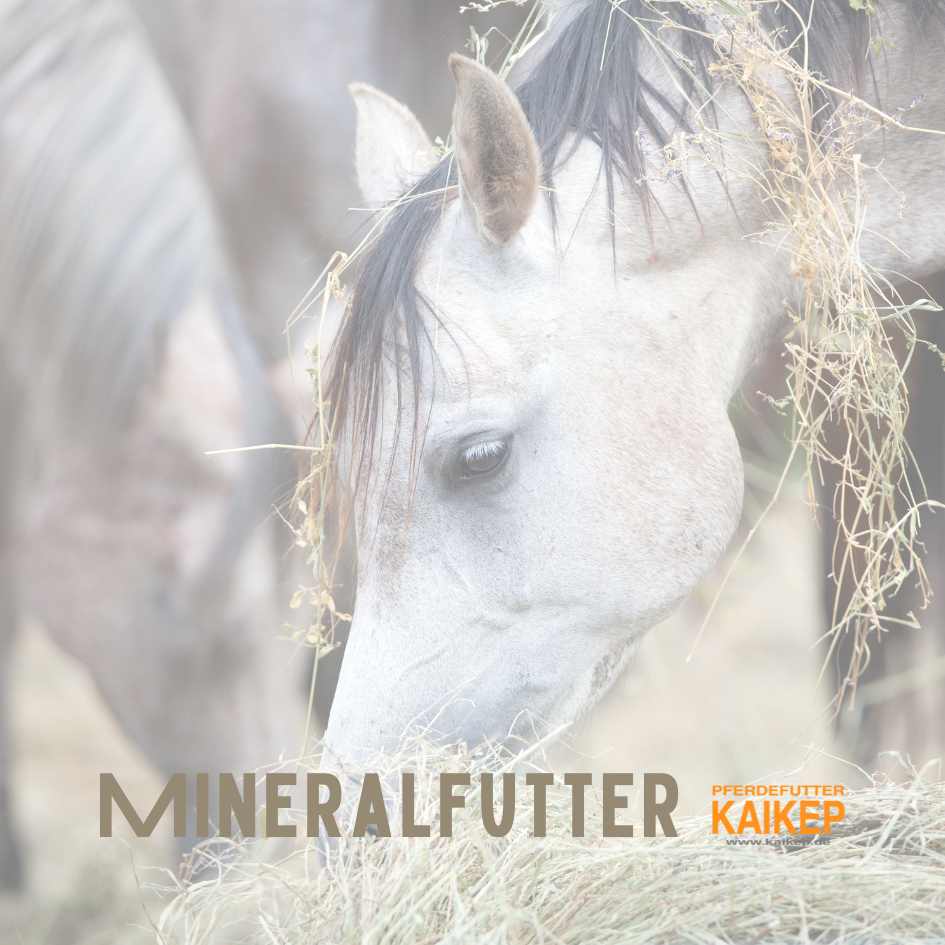 Pferde-Heu-Mineral-gesund-pferdefutterkaikep